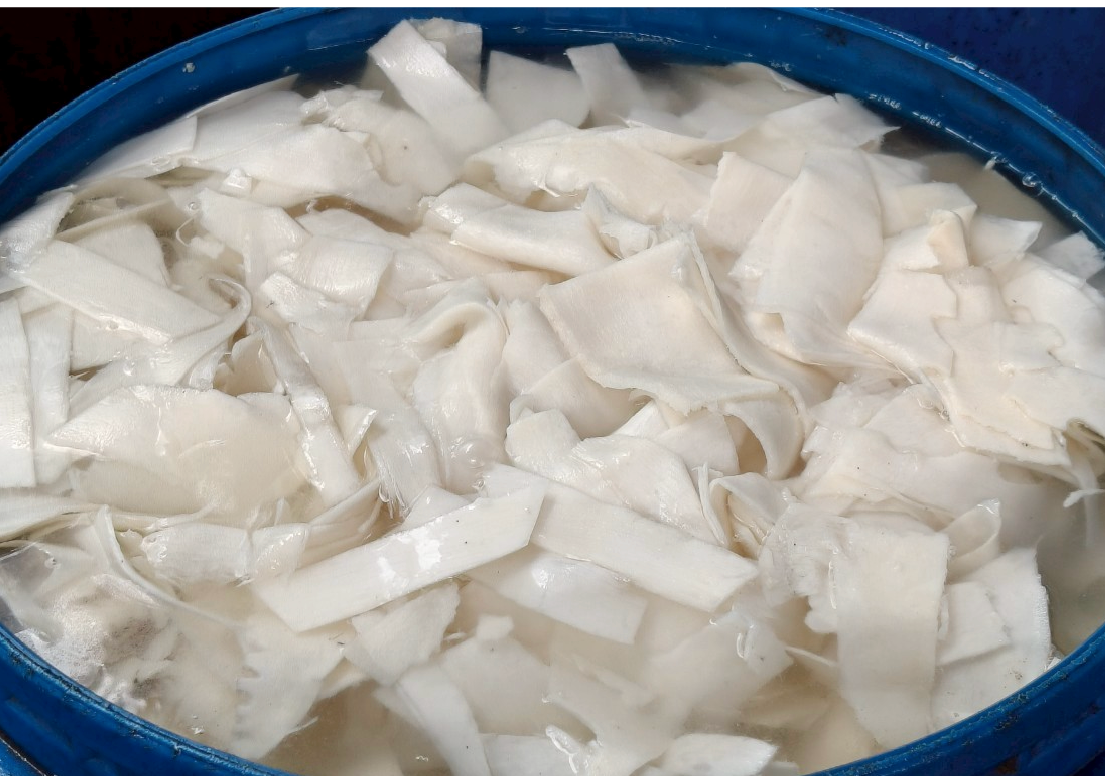 หน่อไม้ดอง หน่อไม้ดอง