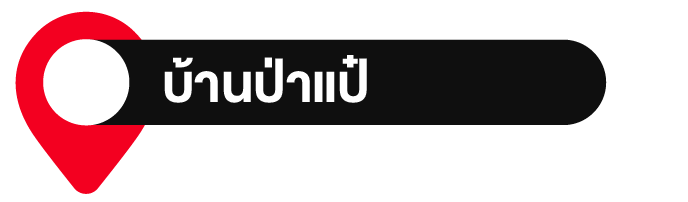 ชาเขียวอัสสัม ชาเขียวอัสสัม