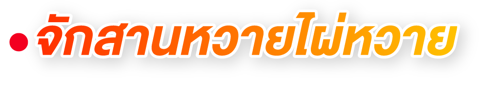 จักสานหวายไผ่หวาย จักสานหวายไผ่หวาย