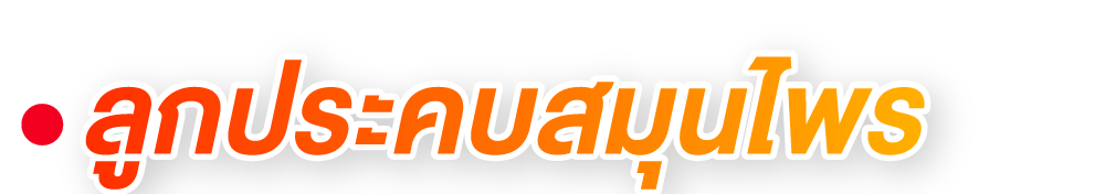 ลูกประคบสมุนไพร ลูกประคบสมุนไพร