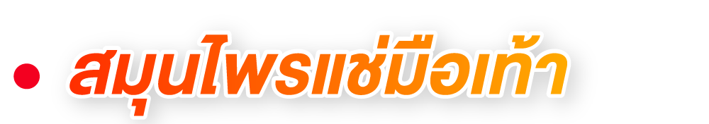 สมุนไพรแช่มือเท้า สมุนไพรแช่มือเท้า