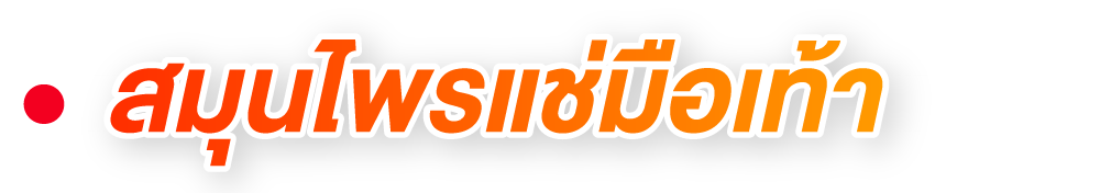 สมุนไพรแช่มือเท้า (สปาบ้านทุ่ง) สมุนไพรแช่มือเท้า (สปาบ้านทุ่ง)