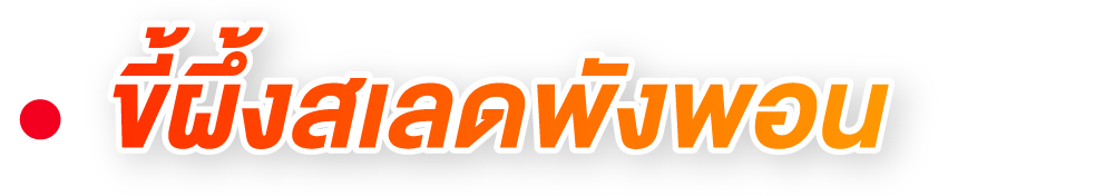 ขี้ผึ้งเสลดพังพอน ขี้ผึ้งเสลดพังพอน