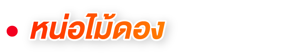 หน่อไม้ดอง หน่อไม้ดอง