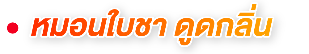 หมอนใบชา ดูดกลิ่น หมอนใบชา ดูดกลิ่น