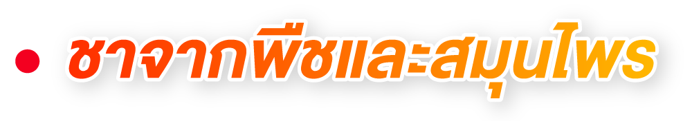 ชาจากพืชและสมุนไพร ชาจากพืชและสมุนไพร